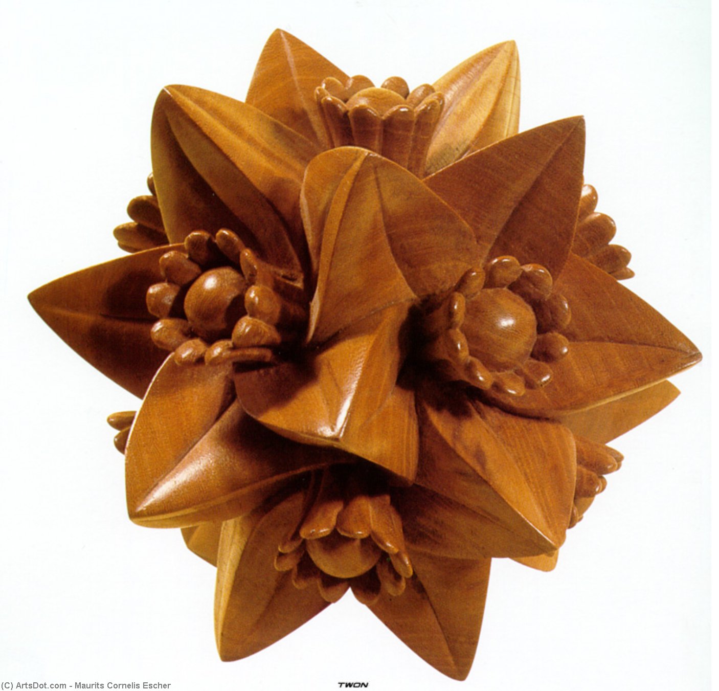 WikiOO.org - Encyclopedia of Fine Arts - Malba, Artwork Maurits Cornelis Escher - with Flowers
