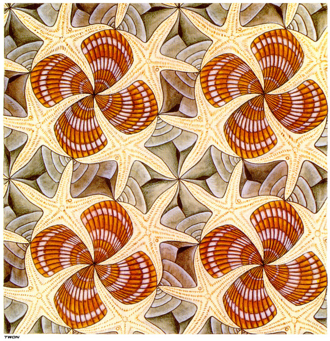 Wikioo.org – La Enciclopedia de las Bellas Artes - Pintura, Obras de arte de Maurits Cornelis Escher - y las estrellas de mar