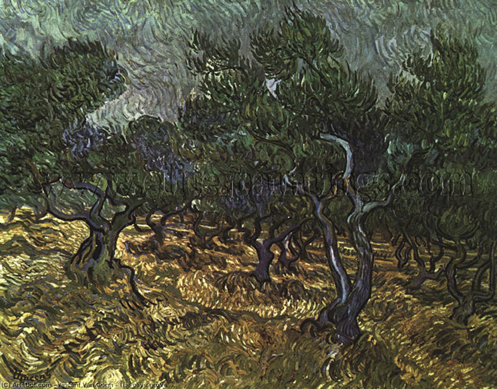 WikiOO.org - אנציקלופדיה לאמנויות יפות - ציור, יצירות אמנות Vincent Van Gogh - The olive grove