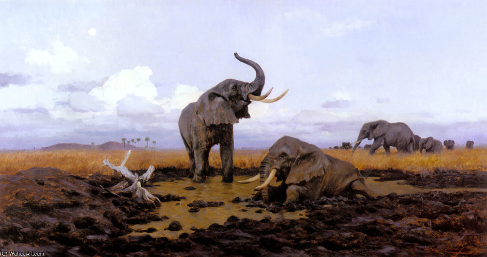Wikioo.org - The Encyclopedia of Fine Arts - Painting, Artwork by Friedrich Wilhelm Kuhnert - In the twilgiht elephants