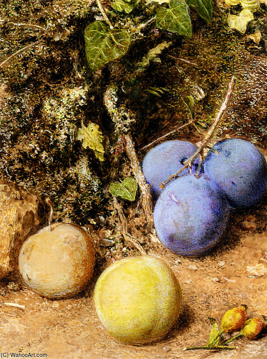 Wikioo.org - The Encyclopedia of Fine Arts - Painting, Artwork by William Henry Hunt - Still life with greengages and plums on a mossy bank