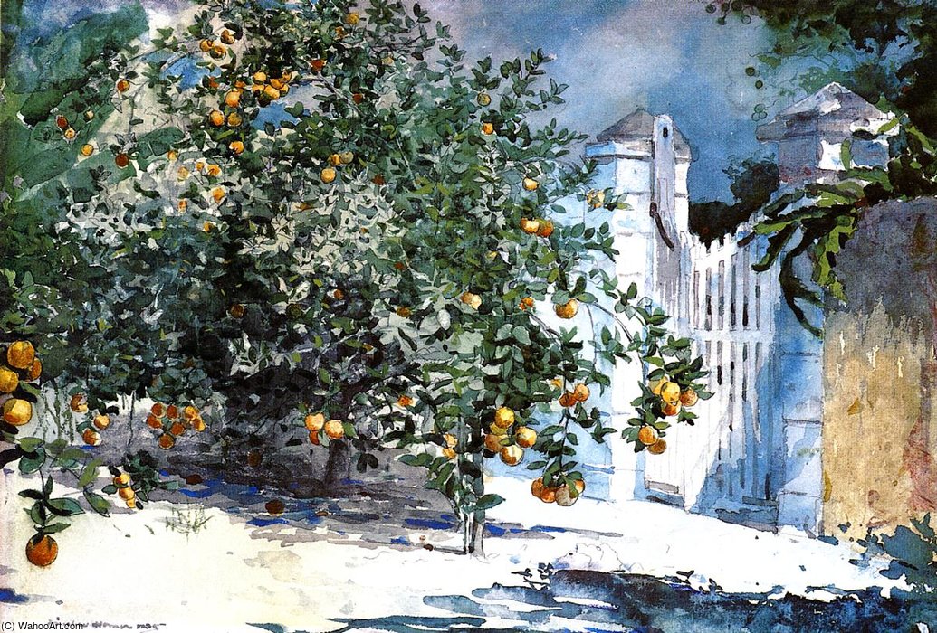 WikiOO.org - Encyclopedia of Fine Arts - Målning, konstverk Winslow Homer - Orange Tree Nassau aka Orange Trees and Gate