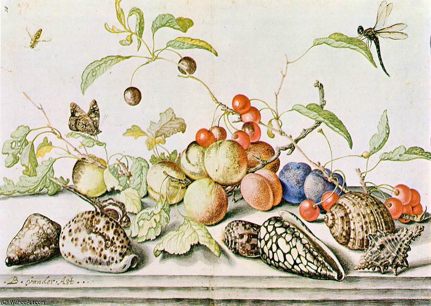 Wikioo.org - The Encyclopedia of Fine Arts - Painting, Artwork by Balthasar Van Der Ast - Still life
