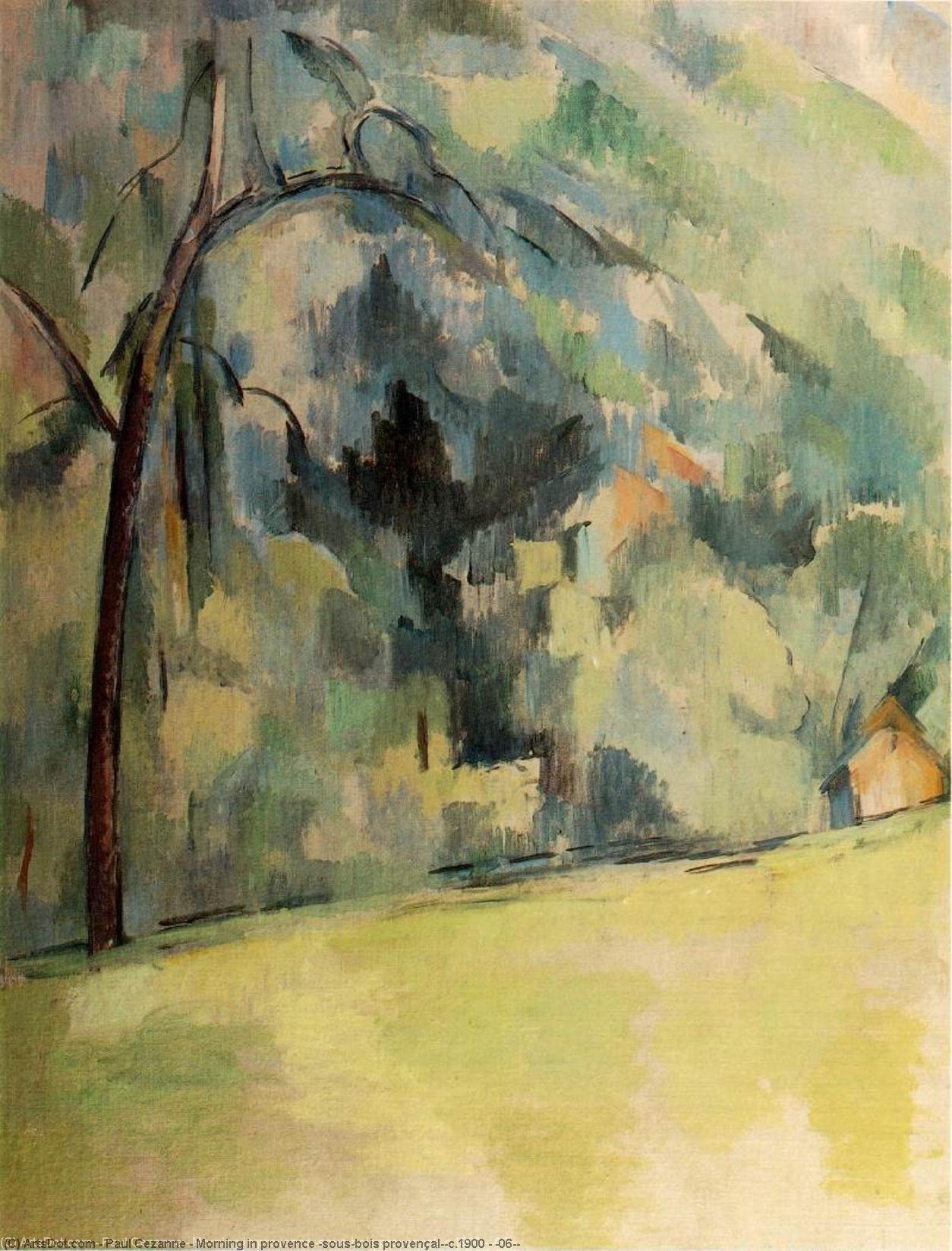 WikiOO.org - Εγκυκλοπαίδεια Καλών Τεχνών - Ζωγραφική, έργα τέχνης Paul Cezanne - Morning in provence (sous-bois provençal),c.1900 - (06,)