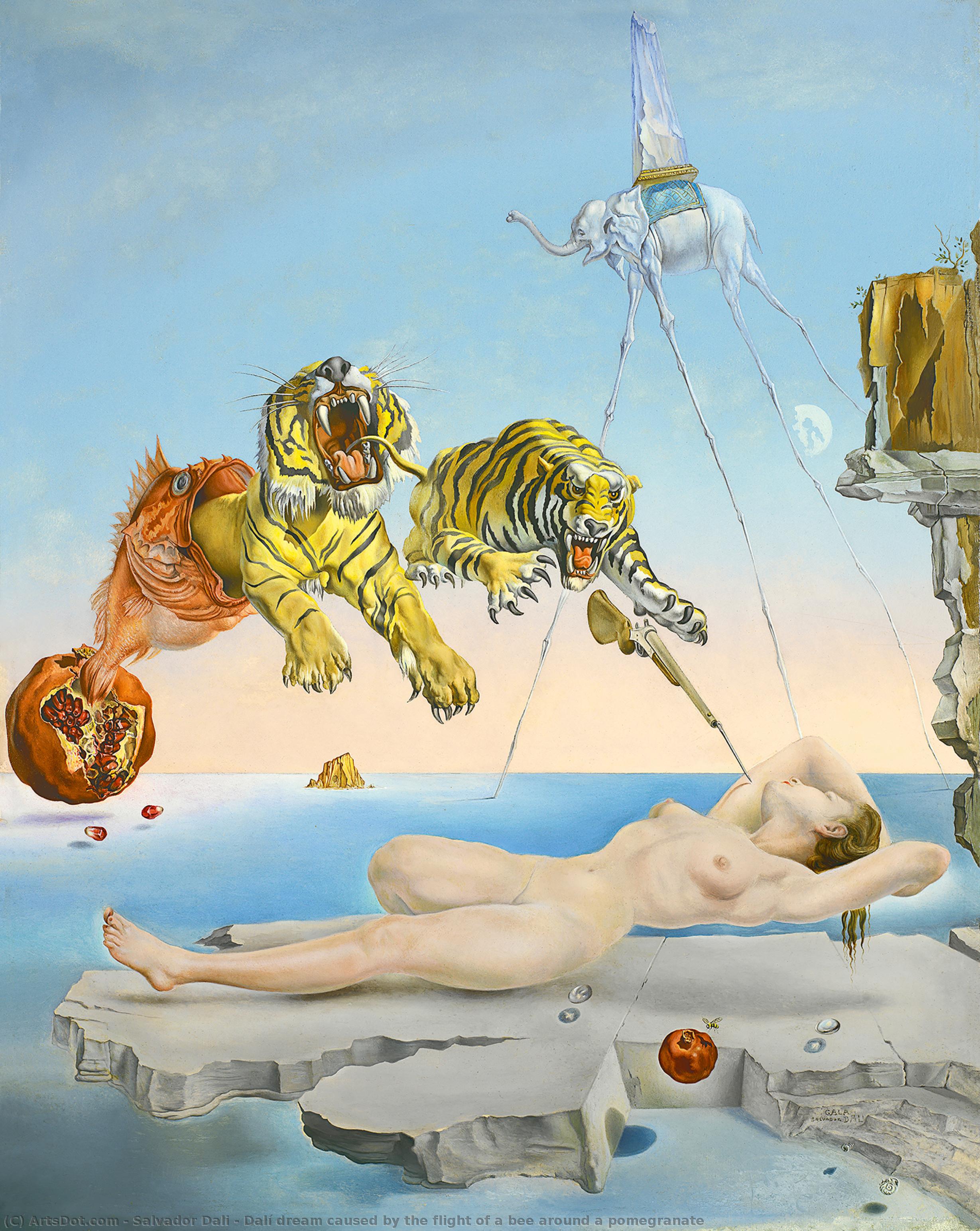 Wikioo.org – L'Enciclopedia delle Belle Arti - Pittura, Opere di Salvador Dali - sogno causato in nessun modo  Olanda  volo  di  Un  ape  in giro  Un  melograno
