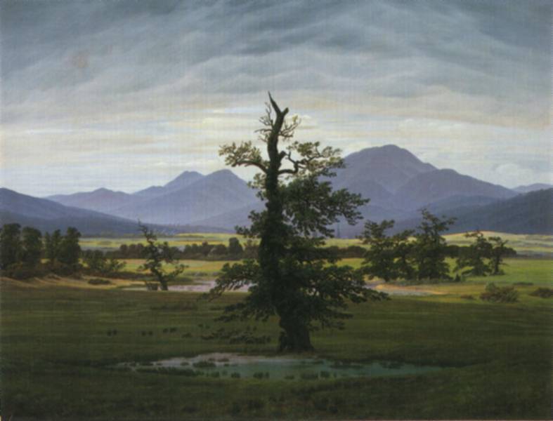 WikiOO.org - Encyclopedia of Fine Arts - Maľba, Artwork Caspar David Friedrich - Solitary tree