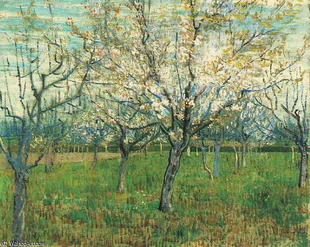 Wikioo.org - The Encyclopedia of Fine Arts - Painting, Artwork by Vincent Van Gogh - Abricotiers en fleurs