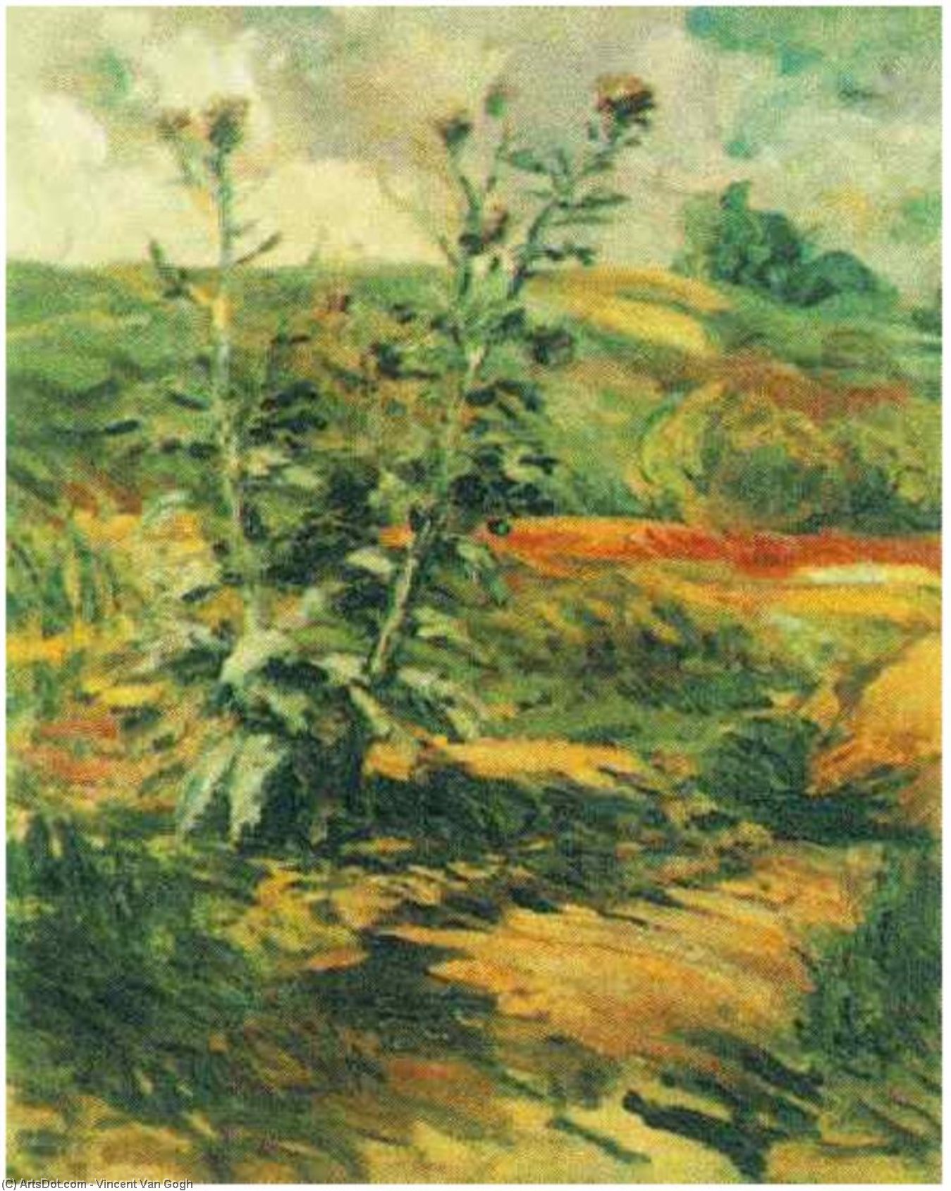 Wikioo.org – La Enciclopedia de las Bellas Artes - Pintura, Obras de arte de Vincent Van Gogh - Chardons deux