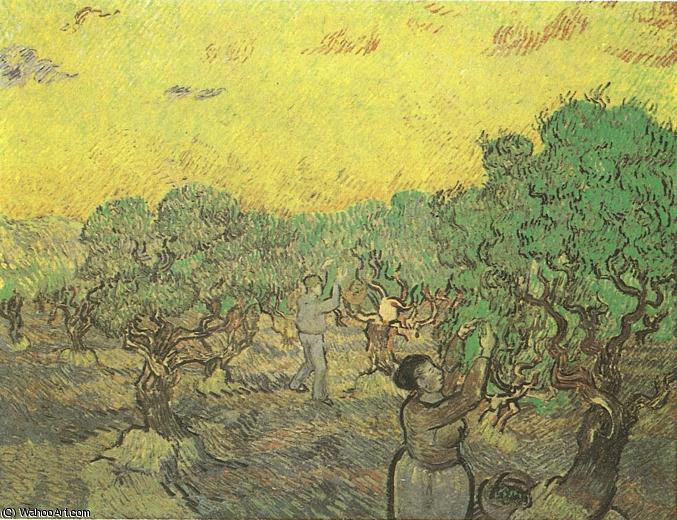 Wikioo.org - The Encyclopedia of Fine Arts - Painting, Artwork by Vincent Van Gogh - La recolte des olives