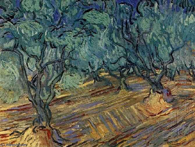 Wikioo.org - The Encyclopedia of Fine Arts - Painting, Artwork by Vincent Van Gogh - Oliviers et ciel bleu