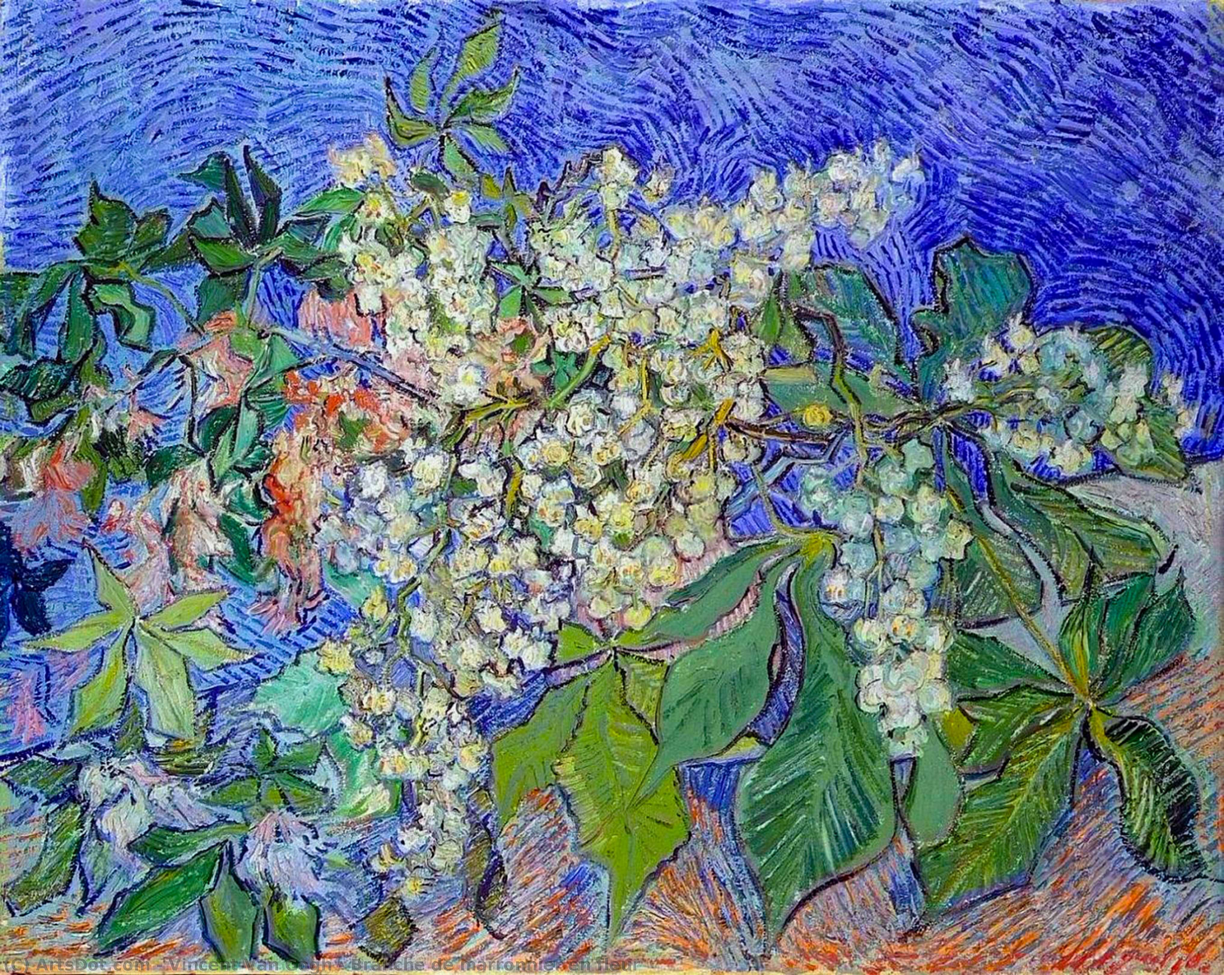 Wikioo.org - The Encyclopedia of Fine Arts - Painting, Artwork by Vincent Van Gogh - Branche de marronnier en fleur