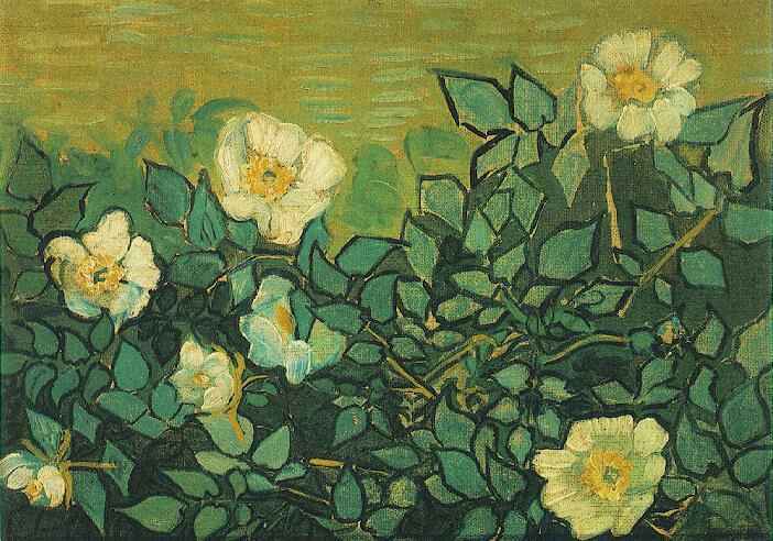 Wikioo.org - สารานุกรมวิจิตรศิลป์ - จิตรกรรม Vincent Van Gogh - Roses sauvages