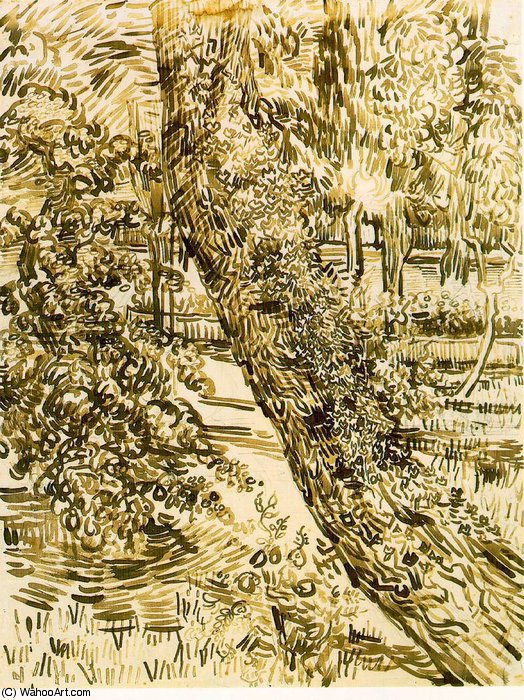 WikiOO.org - دایره المعارف هنرهای زیبا - نقاشی، آثار هنری Vincent Van Gogh - Trees ivy asylum