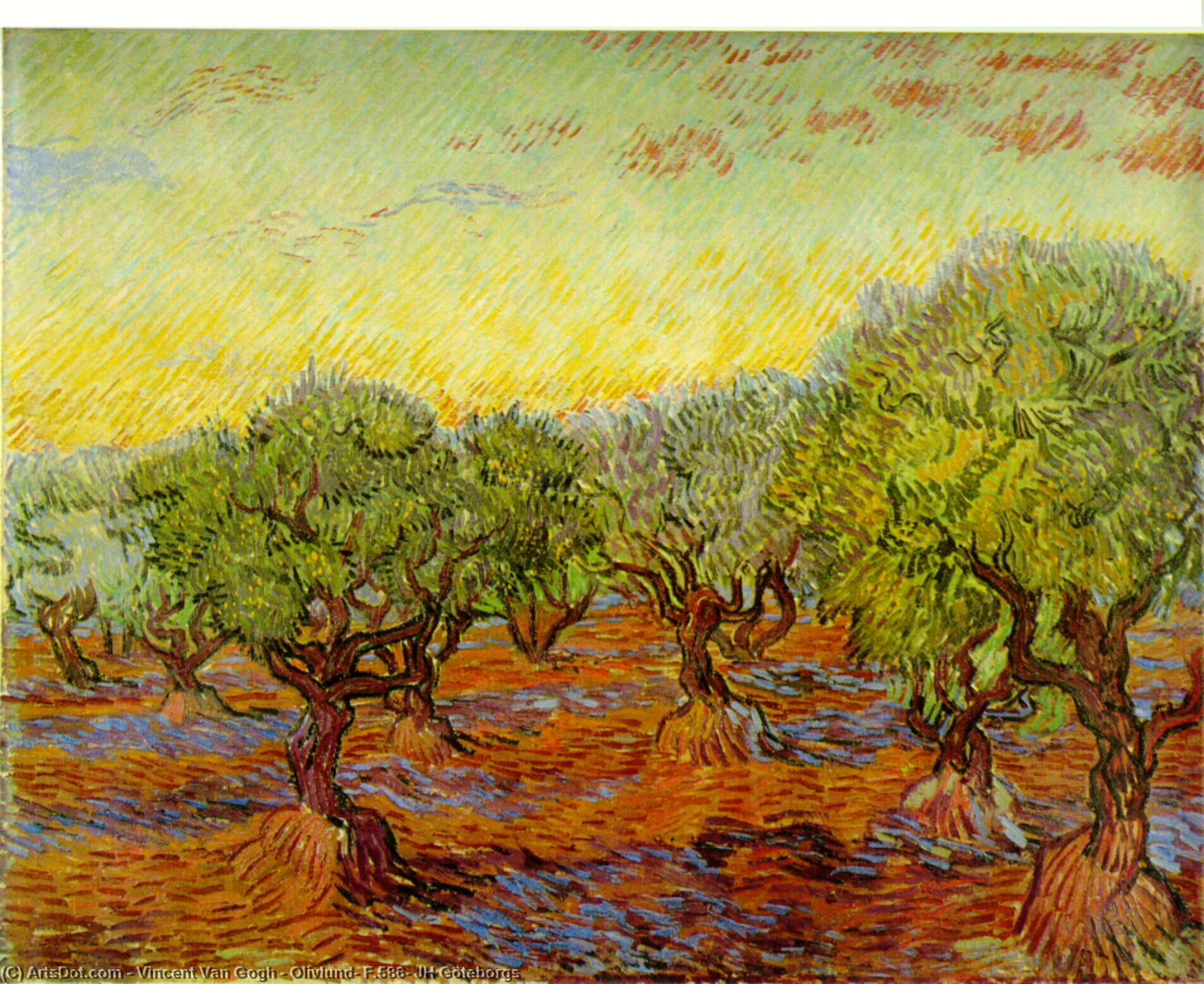 WikiOO.org – 美術百科全書 - 繪畫，作品 Vincent Van Gogh - Olivlund , F . 586 , jh哥德堡