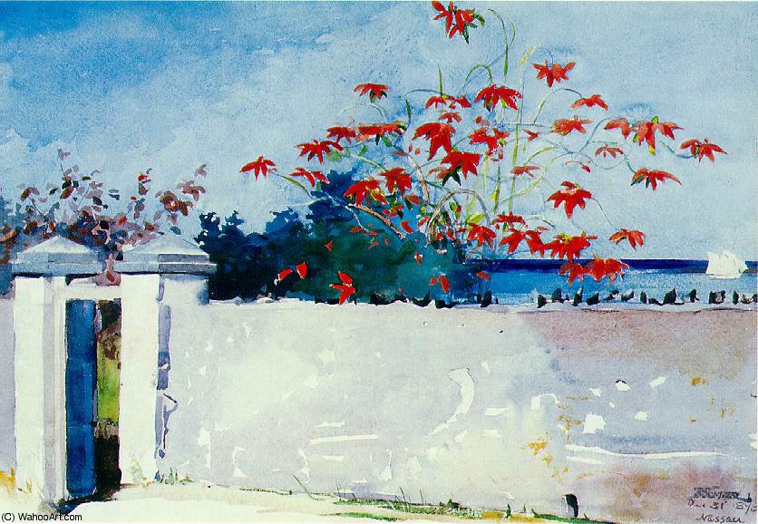 Wikioo.org - The Encyclopedia of Fine Arts - Painting, Artwork by Winslow Homer - A wall, Nassau, Watercolor, Metropol