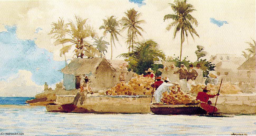 Wikioo.org – La Enciclopedia de las Bellas Artes - Pintura, Obras de arte de Winslow Homer - Esponja pesca , Nassau , Acuarela y grafito ,