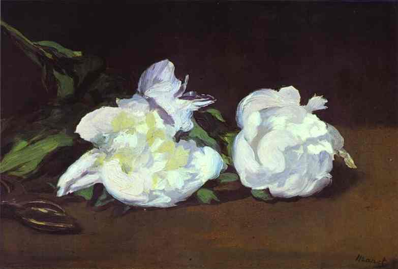 WikiOO.org - Εγκυκλοπαίδεια Καλών Τεχνών - Ζωγραφική, έργα τέχνης Edouard Manet - Branch of White Peonies and Shears