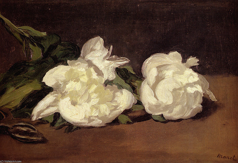 Wikioo.org - สารานุกรมวิจิตรศิลป์ - จิตรกรรม Edouard Manet - Branch of white peonies with pruning shears