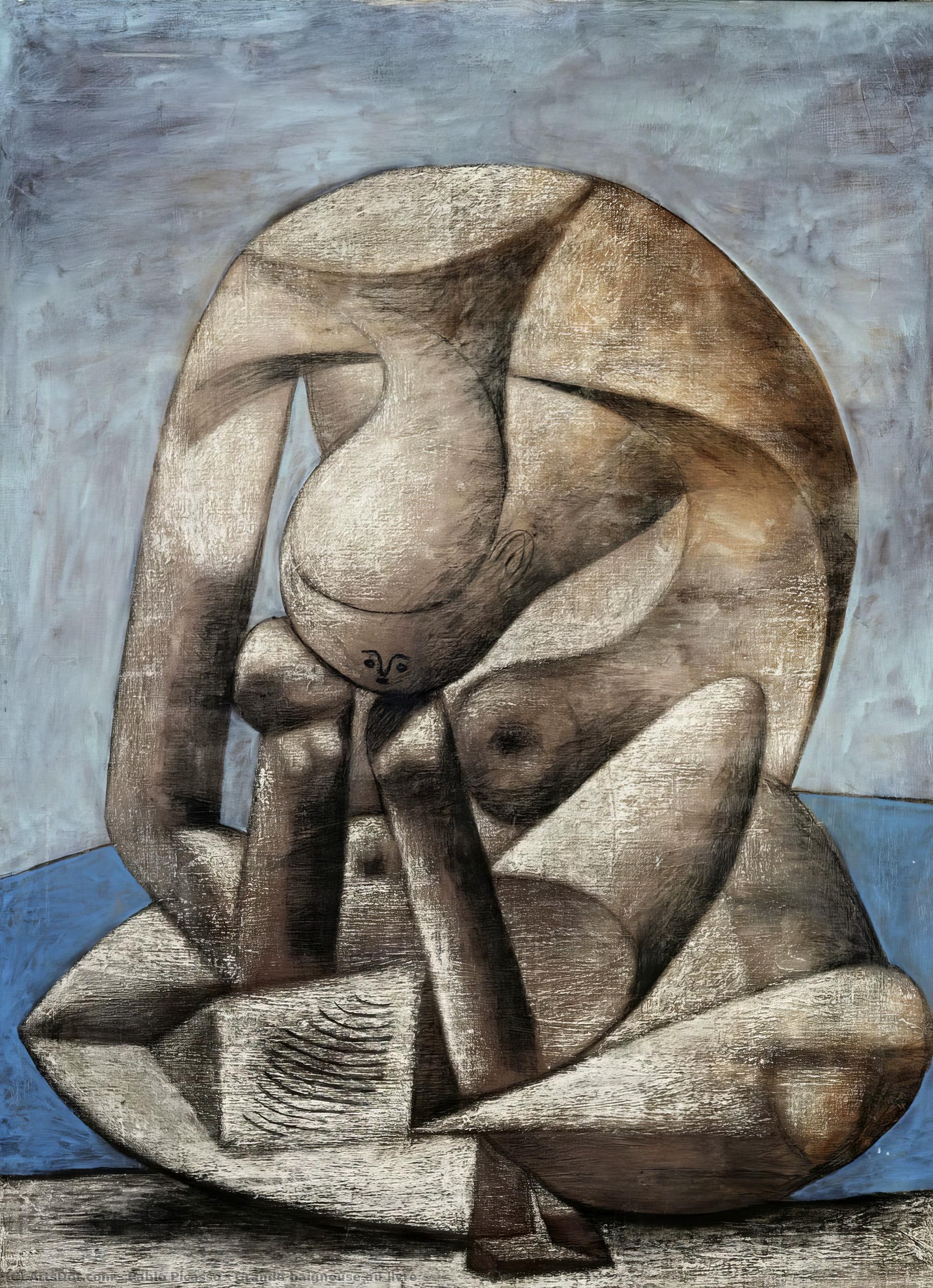 Wikioo.org - The Encyclopedia of Fine Arts - Painting, Artwork by Pablo Picasso - Grande baigneuse au livre