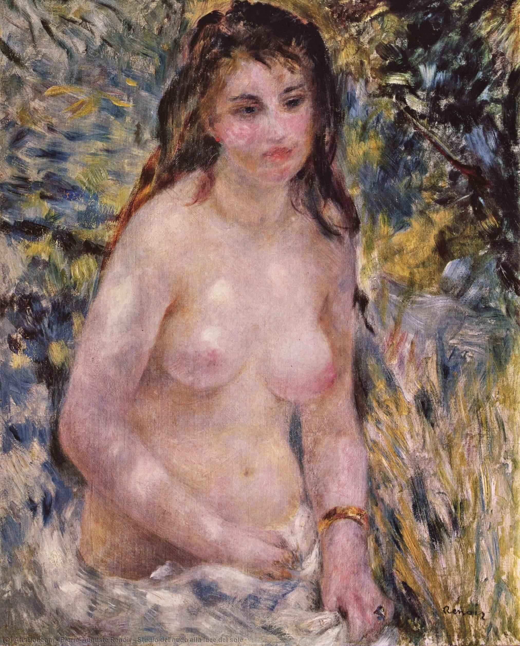 Wikioo.org - The Encyclopedia of Fine Arts - Painting, Artwork by Pierre-Auguste Renoir - Studio del nudo alla luce del sole
