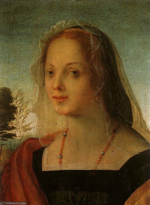 Wikioo.org – L'Enciclopedia delle Belle Arti - Pittura, Opere di Rosso Fiorentino - ritratto di una giovane donna
