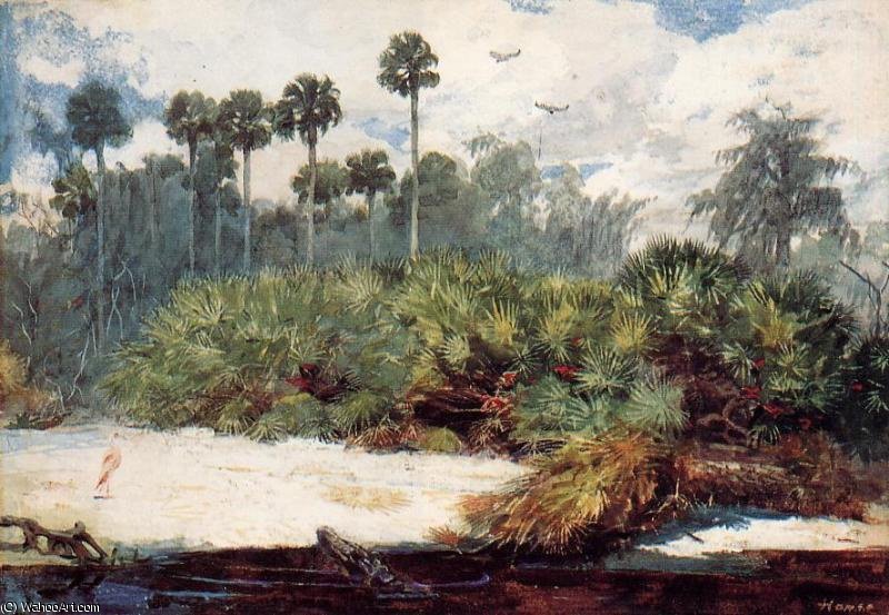 WikiOO.org – 美術百科全書 - 繪畫，作品 Winslow Homer - 佛罗里达 丛林