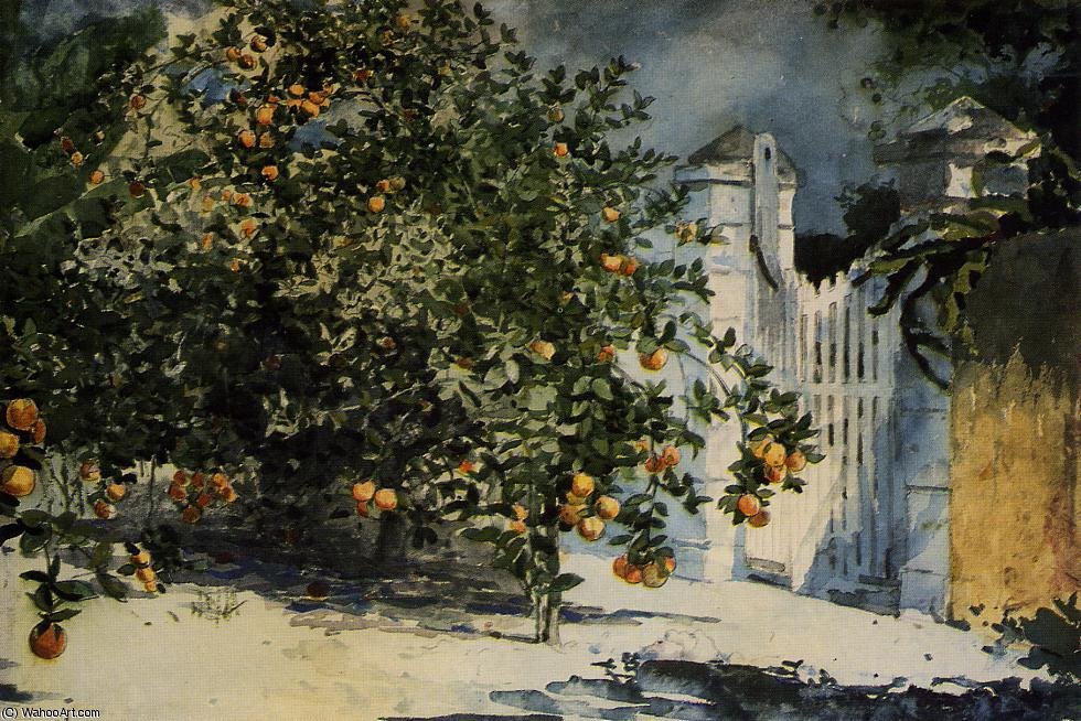 WikiOO.org - 백과 사전 - 회화, 삽화 Winslow Homer - Orange tree, nassau