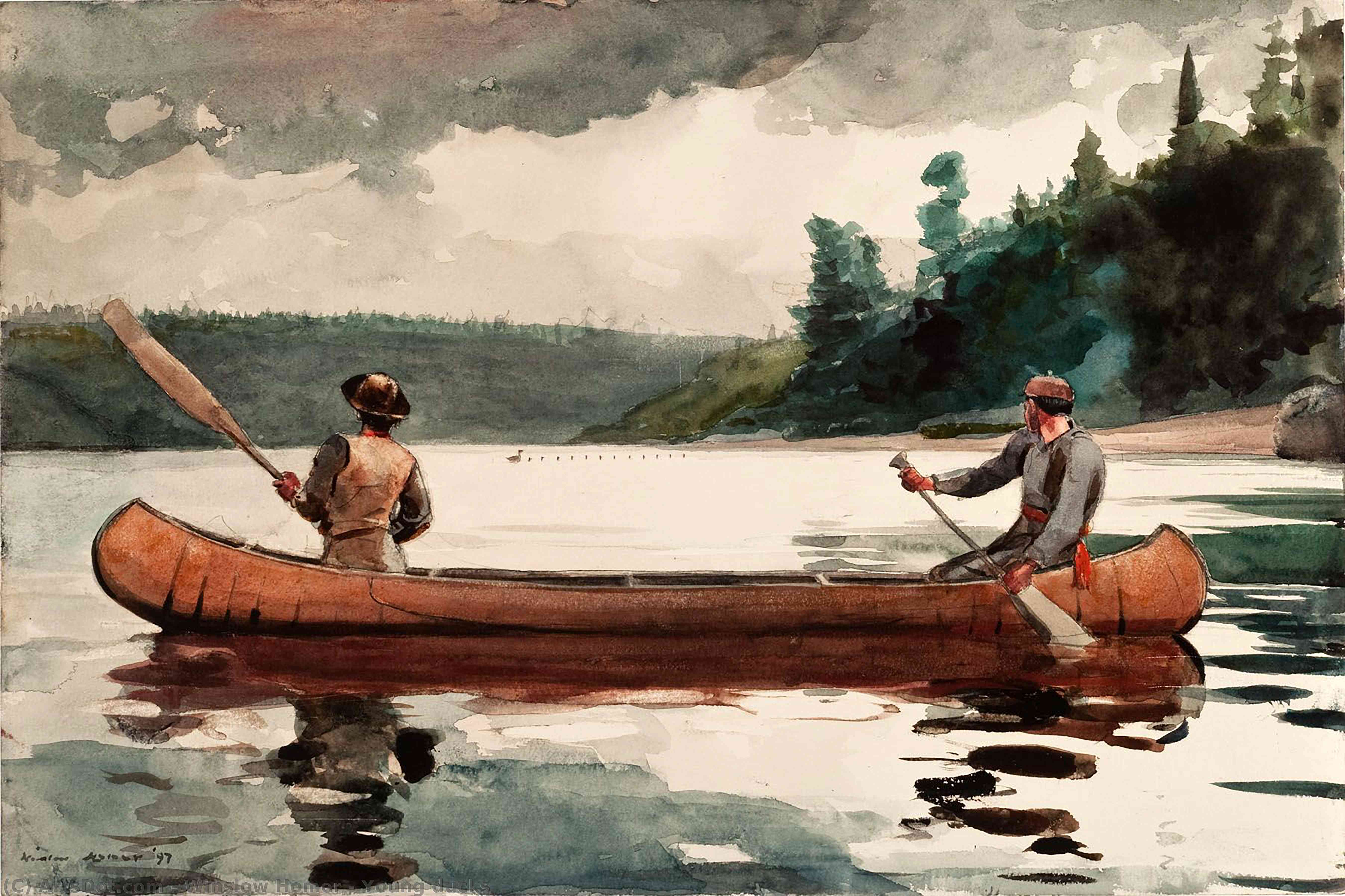 Wikioo.org - The Encyclopedia of Fine Arts - Painting, Artwork by Winslow Homer - Young ducks