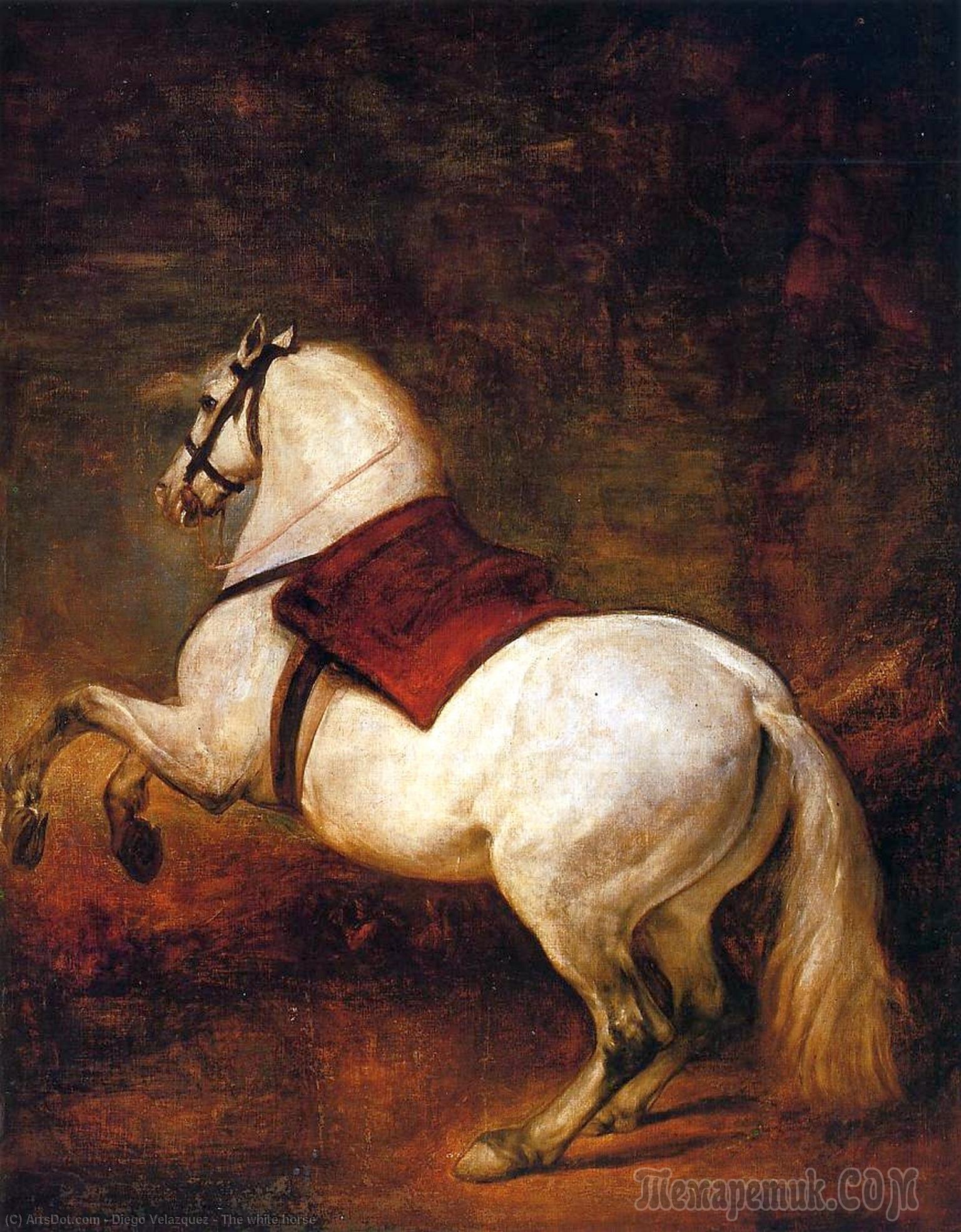 Wikioo.org - The Encyclopedia of Fine Arts - Painting, Artwork by Diego Velazquez - The white horse