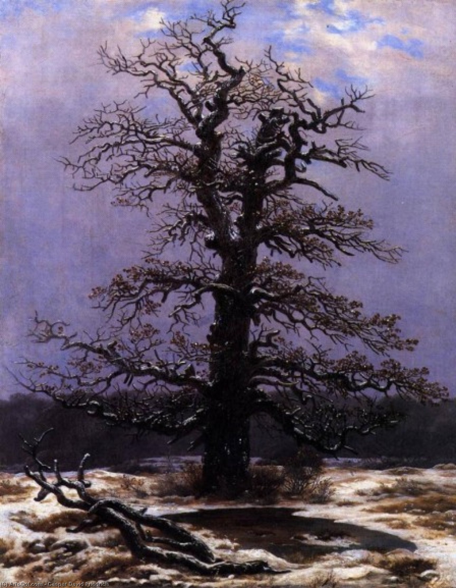 Wikioo.org – L'Enciclopedia delle Belle Arti - Pittura, Opere di Caspar David Friedrich - nella neve