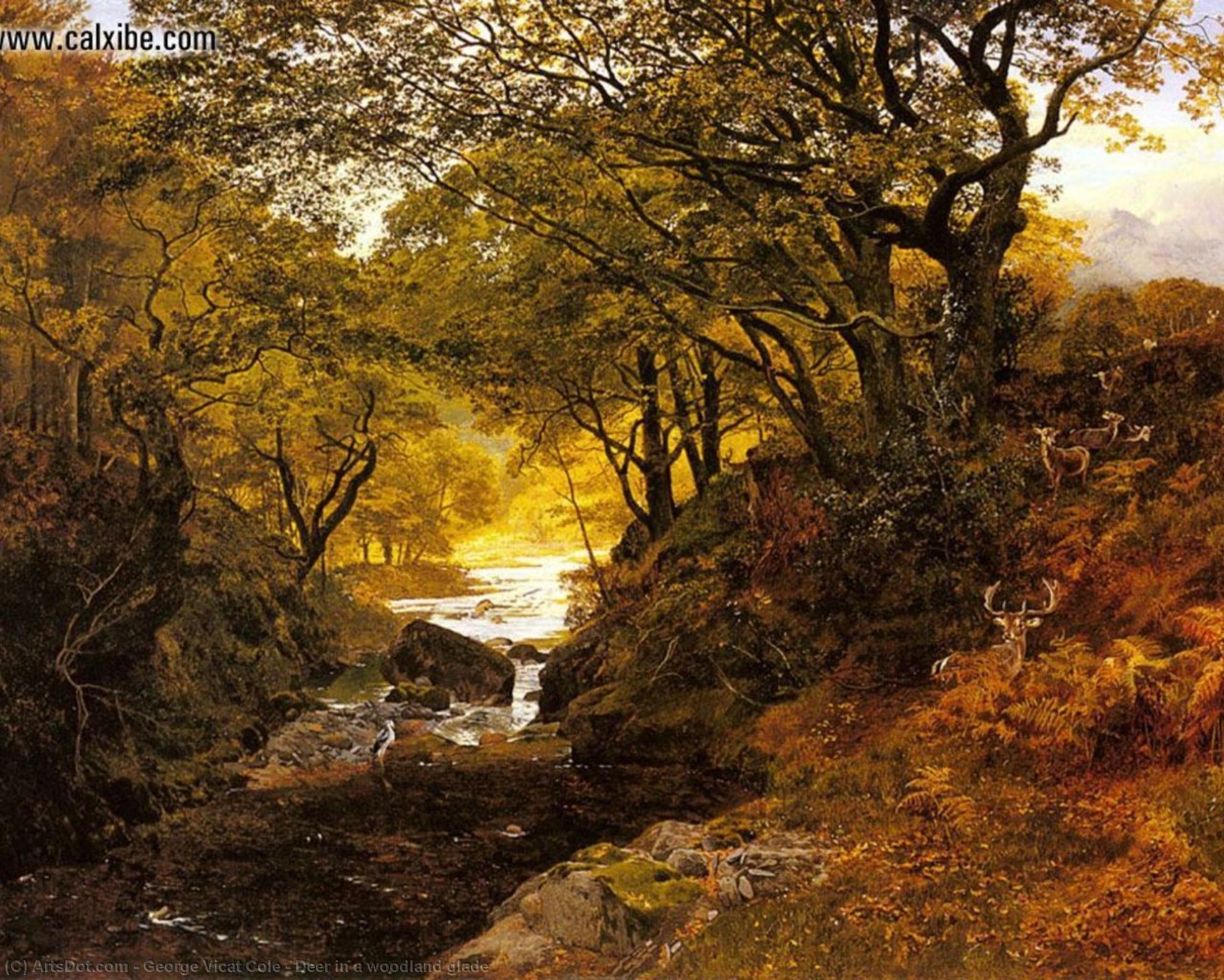 Wikioo.org - The Encyclopedia of Fine Arts - Painting, Artwork by George Vicat Cole - Deer in a woodland glade
