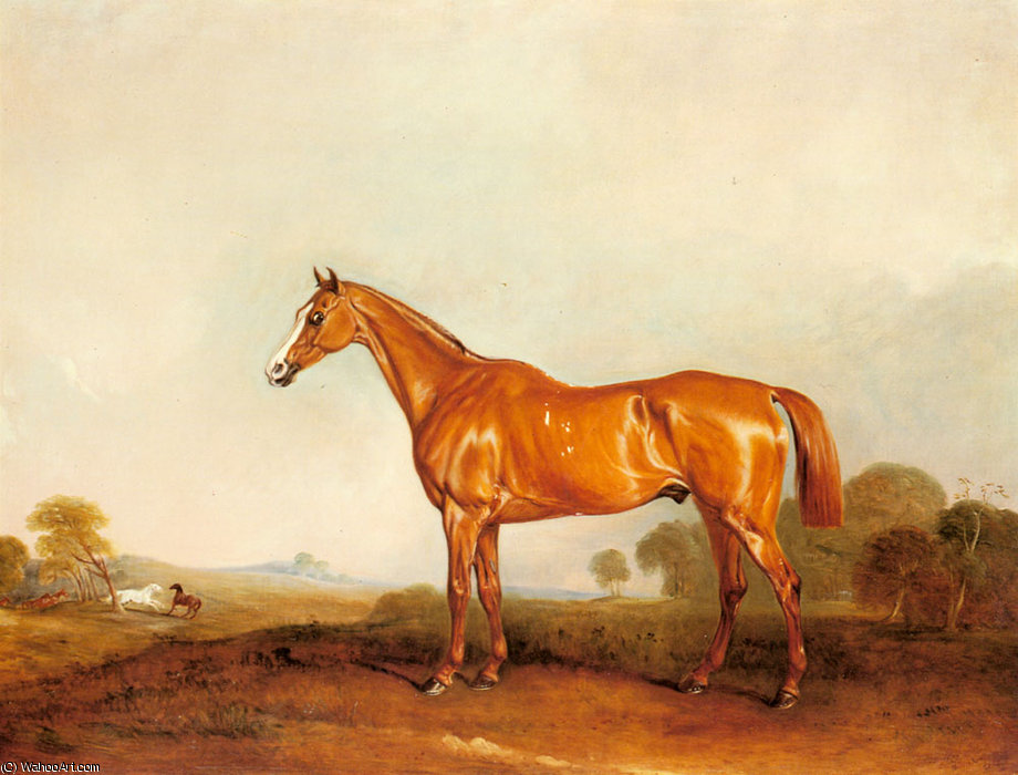Wikioo.org - The Encyclopedia of Fine Arts - Painting, Artwork by John Ferneley Ii - a golden chestnut hunter in a landscape
