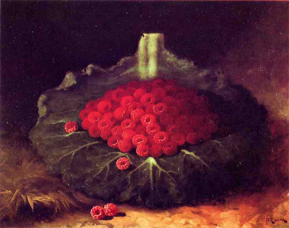 Wikioo.org - The Encyclopedia of Fine Arts - Painting, Artwork by Carducius Plantagenet Ream - Raspberries
