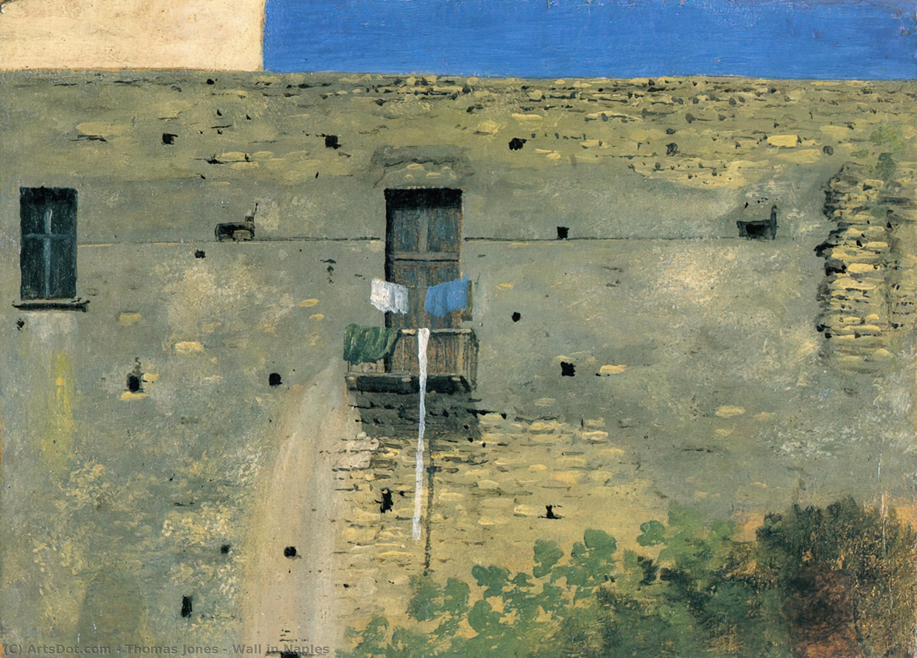 Wikioo.org - Die Enzyklopädie bildender Kunst - Malerei, Kunstwerk von Thomas Jones - einmauern Neapel