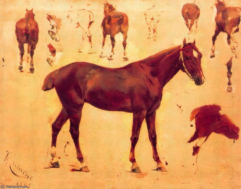 Wikioo.org - The Encyclopedia of Fine Arts - Painting, Artwork by Josep Cusachs I - Study of horses