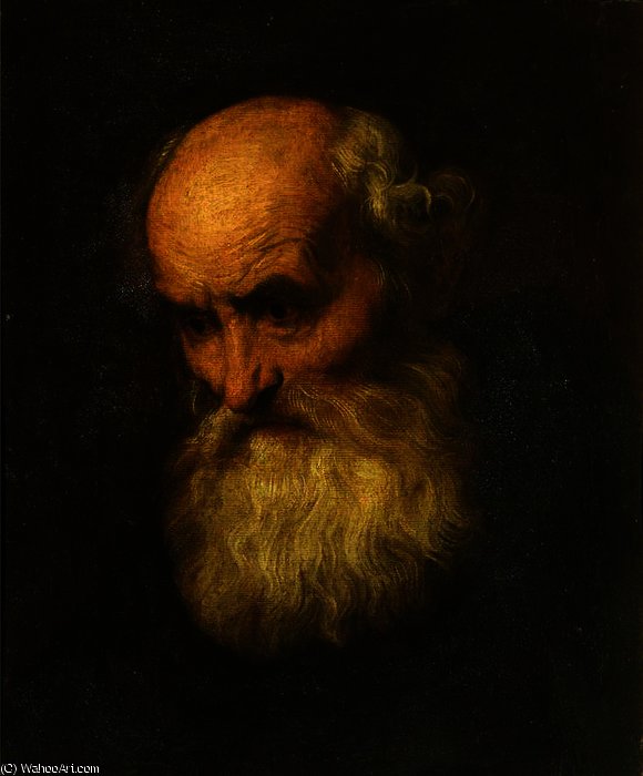WikiOO.org - Εγκυκλοπαίδεια Καλών Τεχνών - Ζωγραφική, έργα τέχνης Anthony Van Dyck - Head of a Bearded Old Man