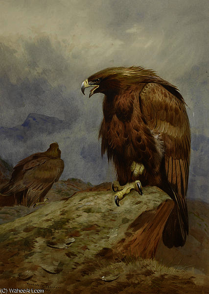 Wikioo.org - The Encyclopedia of Fine Arts - Painting, Artwork by Archibald Thorburn - Pair of Golden Eagles