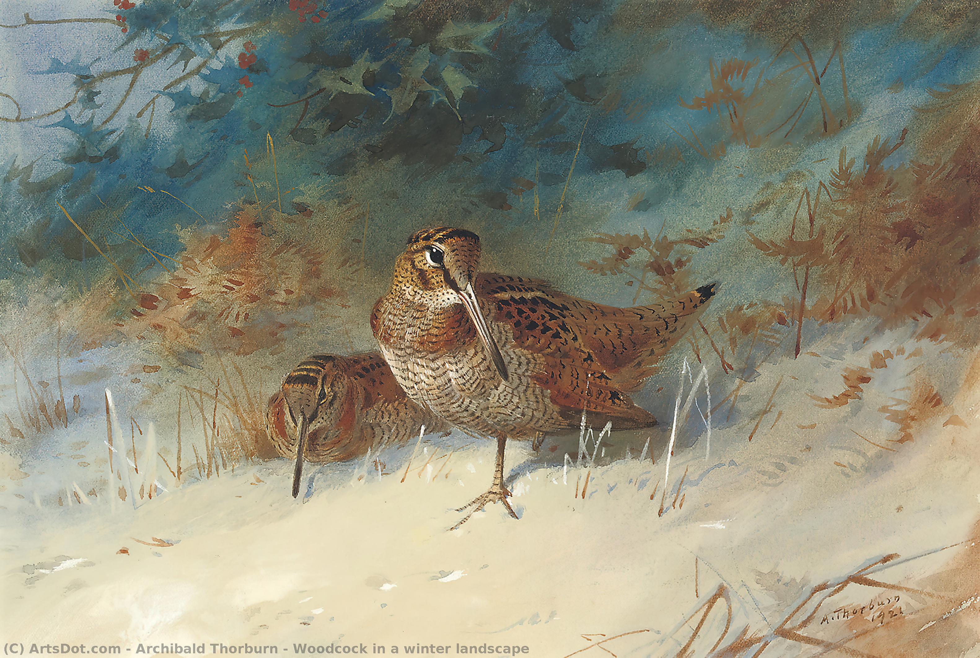 Wikioo.org - The Encyclopedia of Fine Arts - Painting, Artwork by Archibald Thorburn - Woodcock in a winter landscape