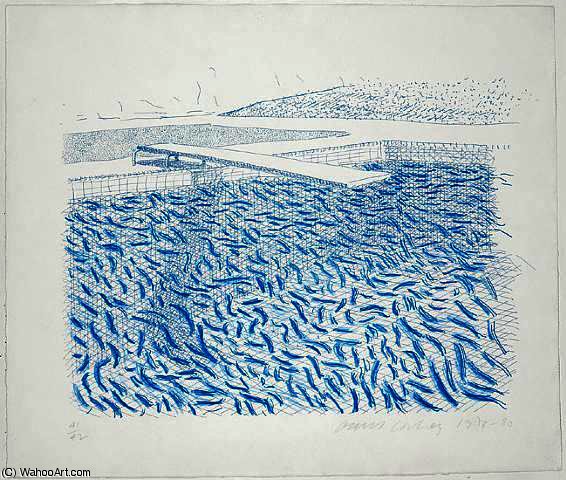 Wikioo.org - The Encyclopedia of Fine Arts - Painting, Artwork by David Hockney - Lithographic Water Made of Lines and Crayon