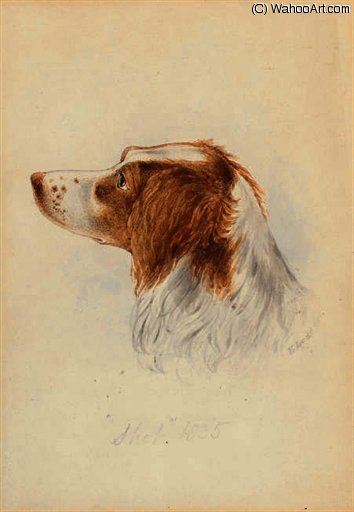 Wikioo.org - The Encyclopedia of Fine Arts - Painting, Artwork by Edward Lear - Study of 'shot'