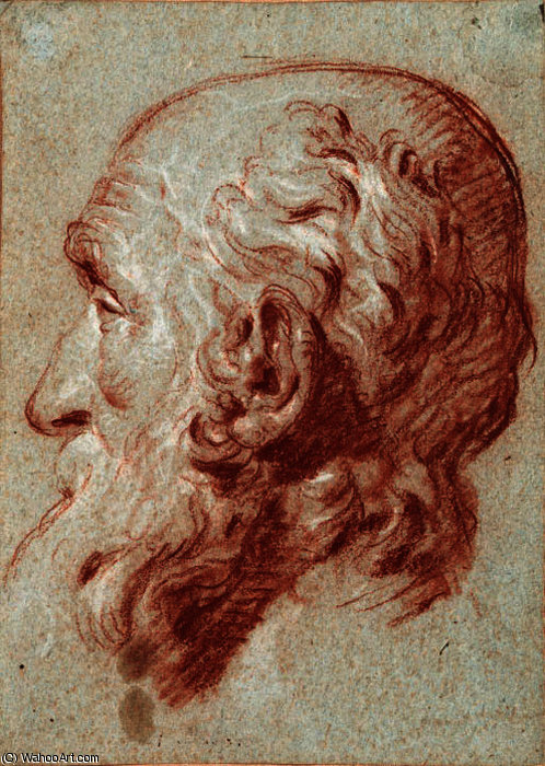 Wikioo.org - The Encyclopedia of Fine Arts - Painting, Artwork by Giovanni Battista Tiepolo - The head of giulio contarini, after alessandro vittoria