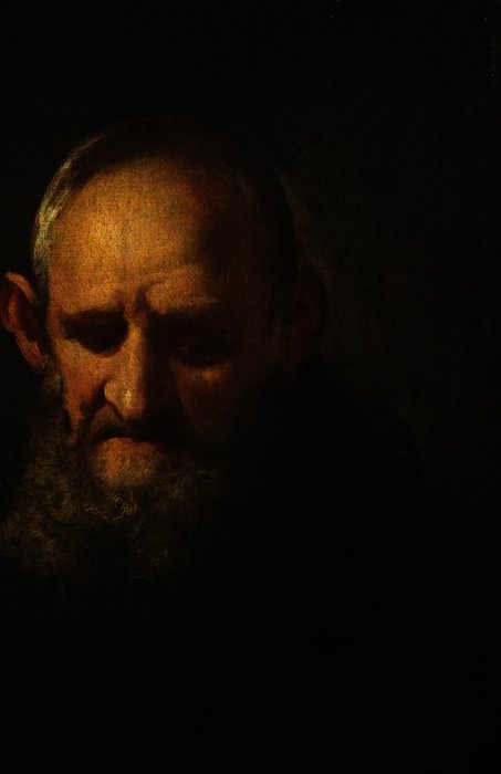Wikoo.org - موسوعة الفنون الجميلة - اللوحة، العمل الفني Richard Wilson - Head of a Capuchin