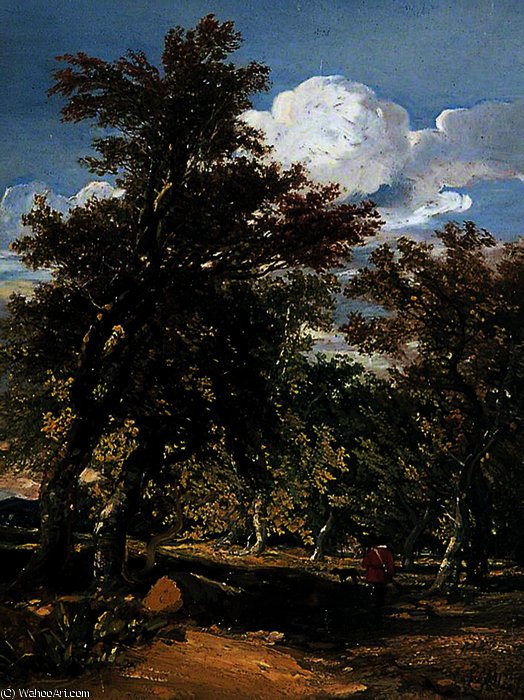 Wikioo.org - The Encyclopedia of Fine Arts - Painting, Artwork by William James Muller - Woodland scene