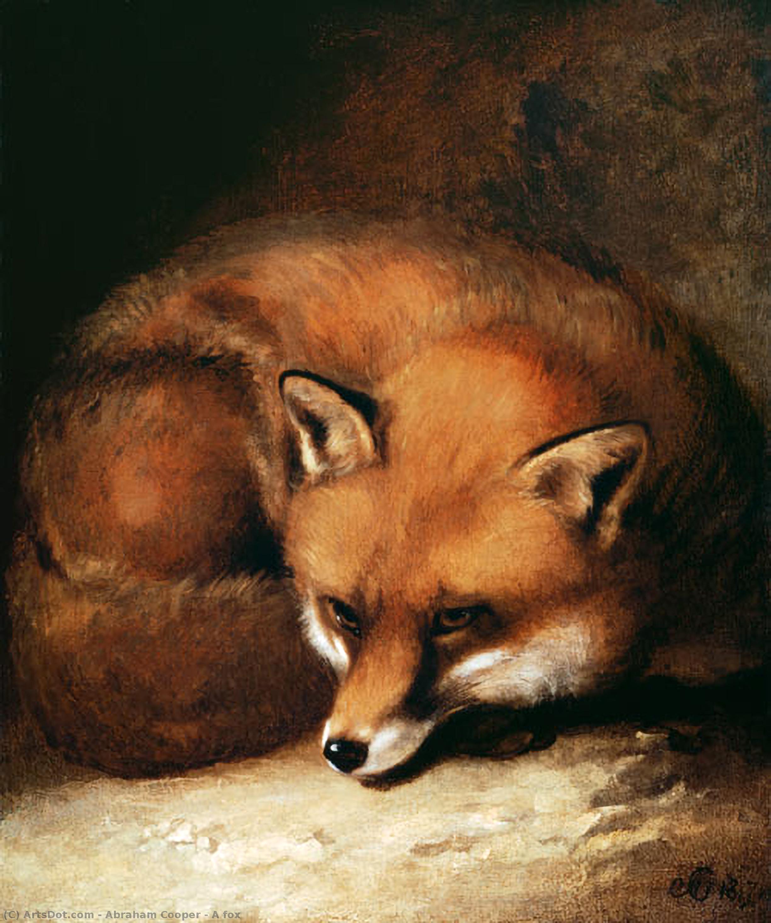Wikioo.org - The Encyclopedia of Fine Arts - Painting, Artwork by Abraham Cooper - A fox