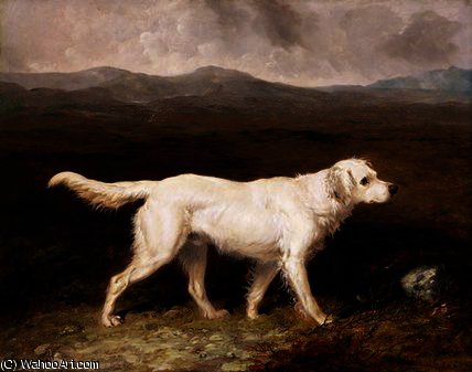 WikiOO.org - Encyclopedia of Fine Arts - Lukisan, Artwork Abraham Cooper - Charles Brett's White English Setter 'Sam'