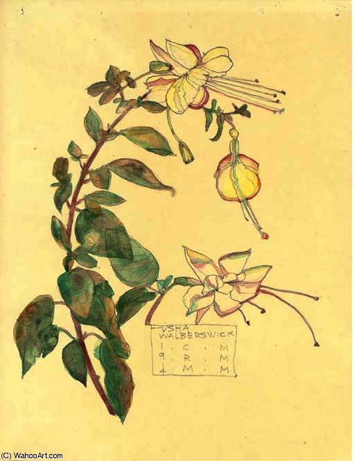 Wikioo.org - The Encyclopedia of Fine Arts - Painting, Artwork by Charles Rennie Mackintosh - Study of a fuchsia