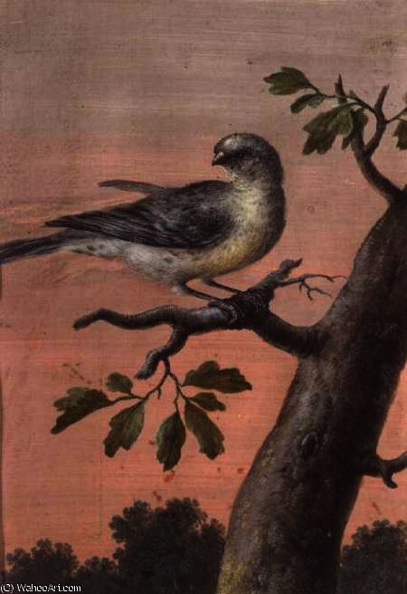 Wikioo.org - The Encyclopedia of Fine Arts - Painting, Artwork by Christoph Ludwig Agricola - A Bird on a Branch, (gouache