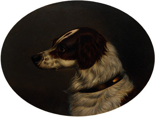 Wikioo.org - The Encyclopedia of Fine Arts - Painting, Artwork by Colin Graeme Roe - The head of a gundog