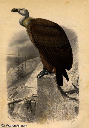 WikiOO.org - Encyclopedia of Fine Arts - Maľba, Artwork Edouard Travies - The fawn vulture