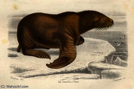 WikiOO.org - Encyclopedia of Fine Arts - Schilderen, Artwork Edouard Travies - The sea lion